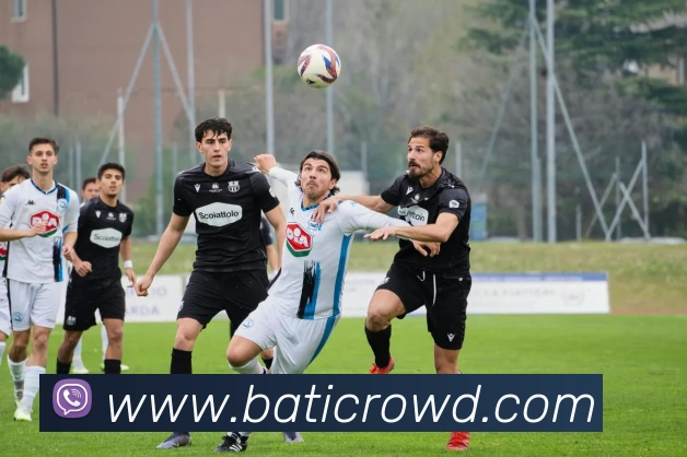 问鼎官网入口服务体系